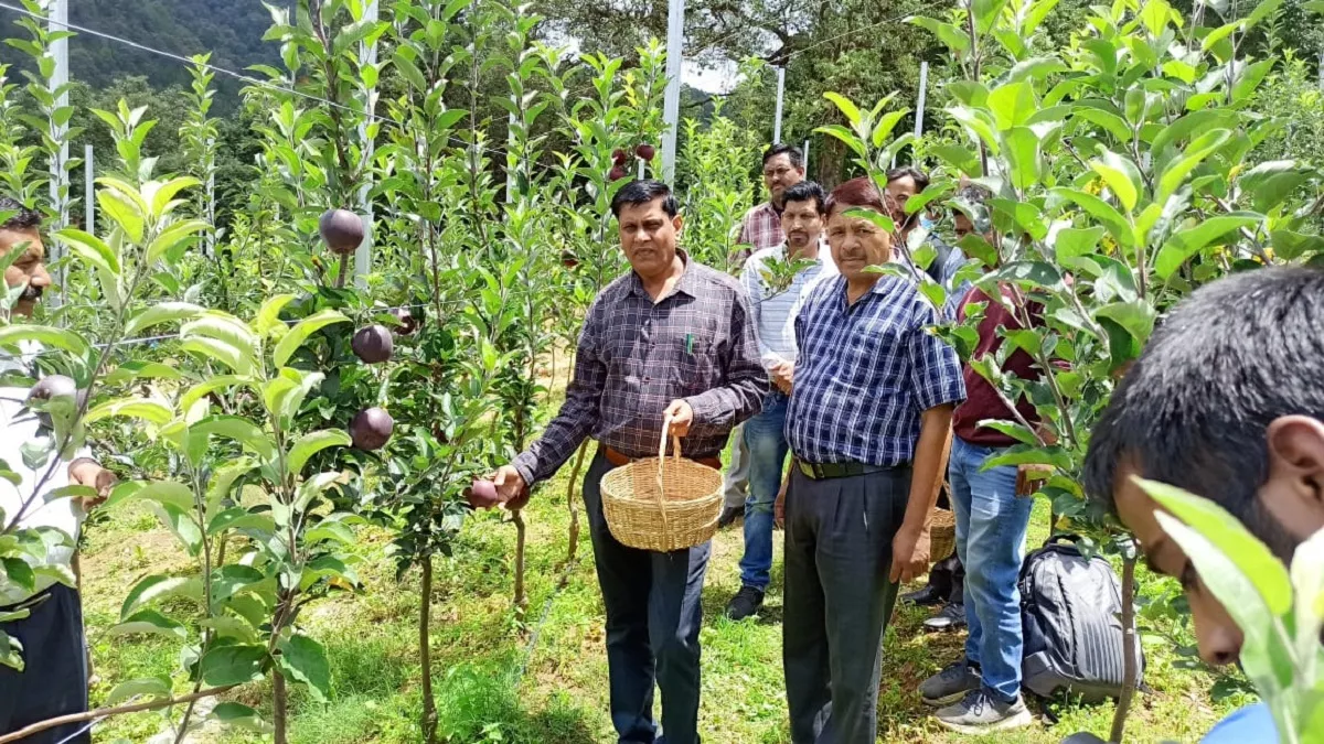 नैनीताल जिले के रामगढ़ में विकसित हो रहा हॉर्टिकल्चर टूरिज्म, पर्यटकों को भा रहे सेब और आड़ू के बागान
