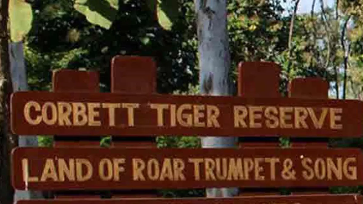 Tiger safari case में कईयों पर आ सकती है जांच की आंच, हो चुकी है गड़बड़ी की पुष्टि