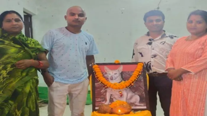 कुत्ते की मौत के बाद उसके मालिक ने जो किया उसे देखकर हैरान हैं लोग