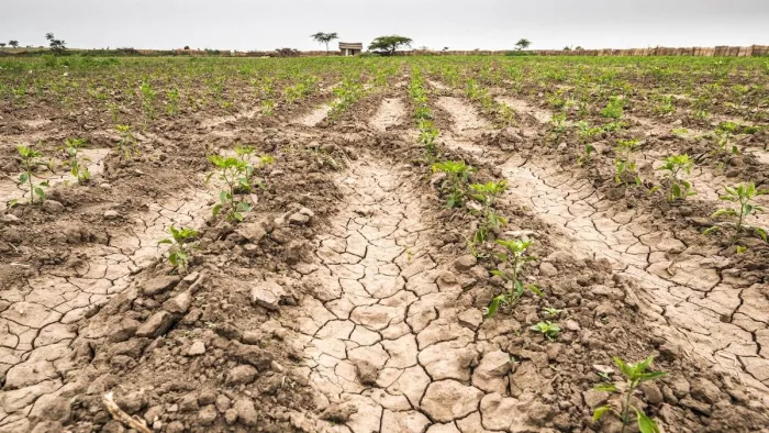 Climate Change: इतनी अनूठी भौगोलिक परिस्थितियों में कोई भी सटीक भविष्यवाणी करना चुनौतीपूर्ण है