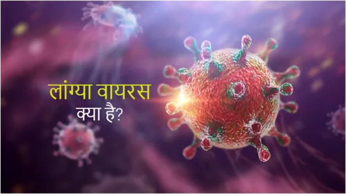 Langya Virus: जानें क्या है लांग्या वायरस, जिसने चीन में 35 लोगों को संक्रमित