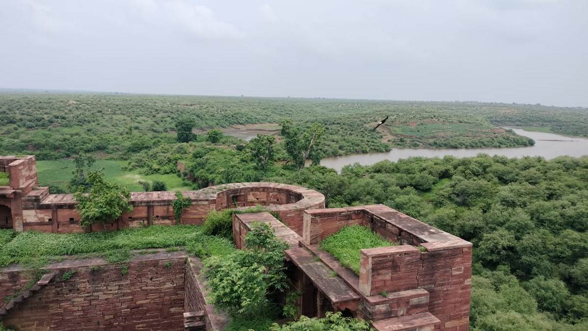a beautiful suba fort like nahargarh fort is near agra at dholpur see photos of suba fort on the bank of river chambal jagran special