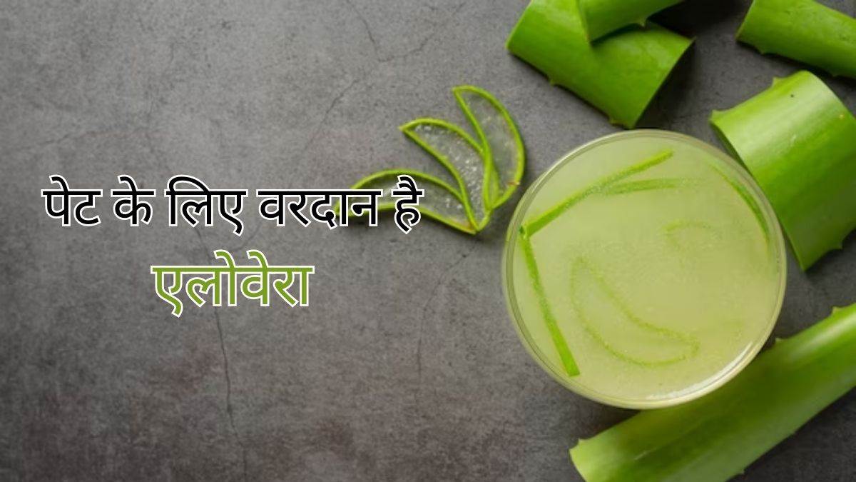 पाचन संबंधी समस्या से हैं परेशान, तो इन तरीकों से करें एलोवेरा का