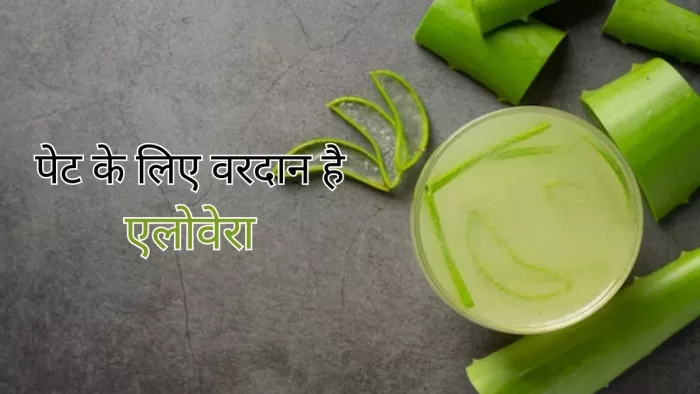 Aloe Vera For Digestion: पेट के लिए बेहद फायदेमंद है एलोवेरा, जानें कैसे करें इस्तेमाल