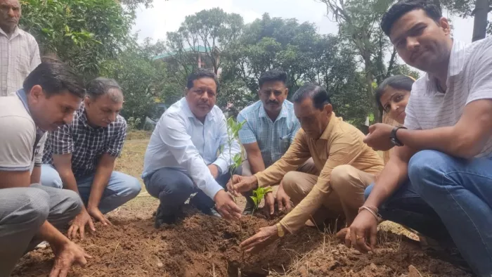 'मेरी माटी मेरा देश' अभियान के तहत रोपे औषधीय पौधे, बलिदानी अश्वनी कुमार के पिता को भी किया गया सम्मानित