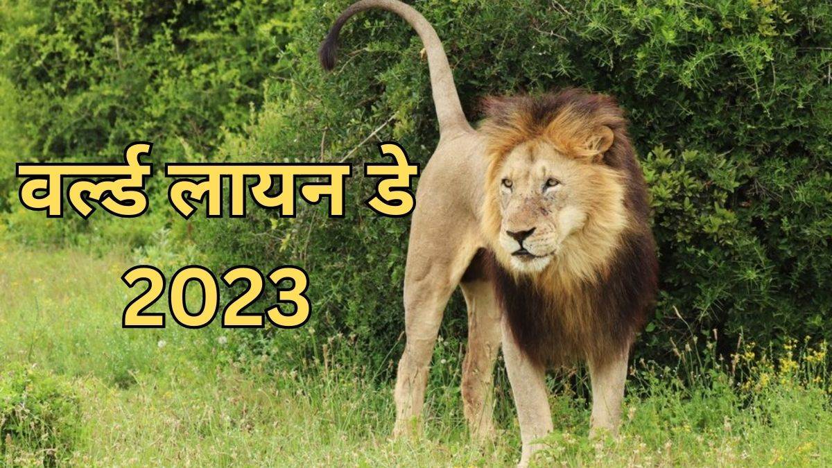 https://www.jagranimages.com/images/newimg/10082023/10_08_2023-lion_23497251.jpg