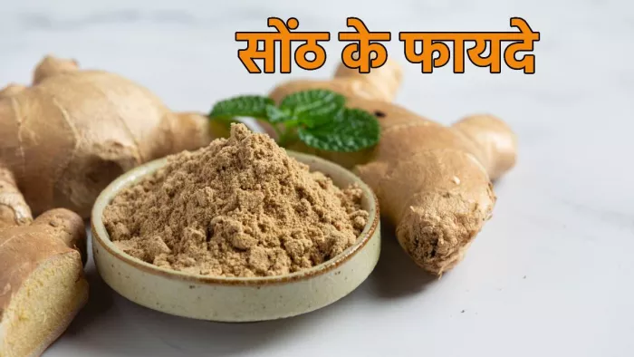 Benefits Of Sonth: सोंठ के सेवन से सेहत को होने वाले फायदे