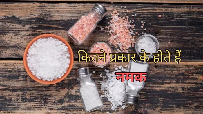 Types Of Salt: जानिए नमक के अलग-अलग किस्मों के बारे में