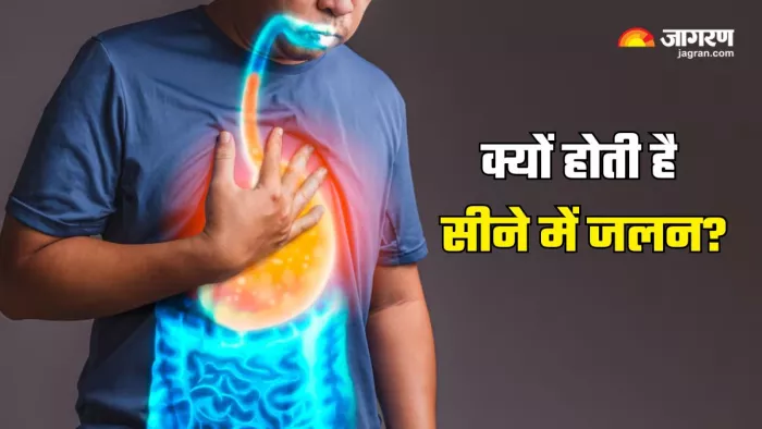 कैसे करें Acid Reflux से बचाव? (Picture Courtesy: Freepik)