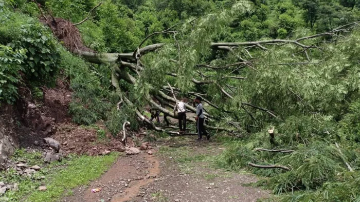 बीती रात को बसोहली के कोट गांव को जाने वाली सड़क पर पड़ा मलबा (जागरण)
