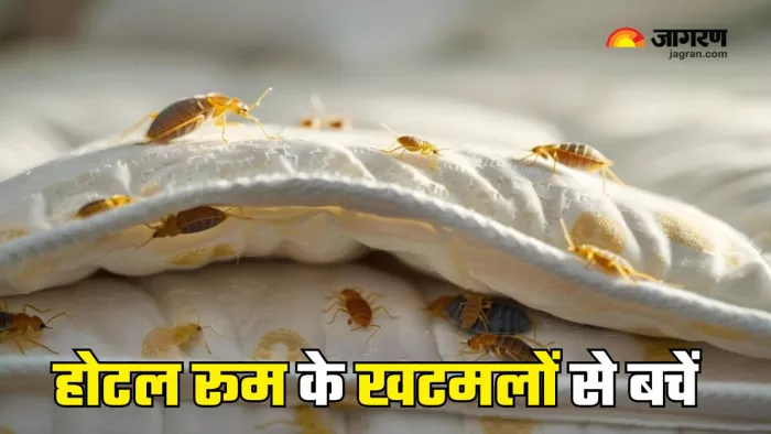 होटल के खटमल कहीं आपके साथ घर न आ जाएं! (Picture Courtesy: Freepik)