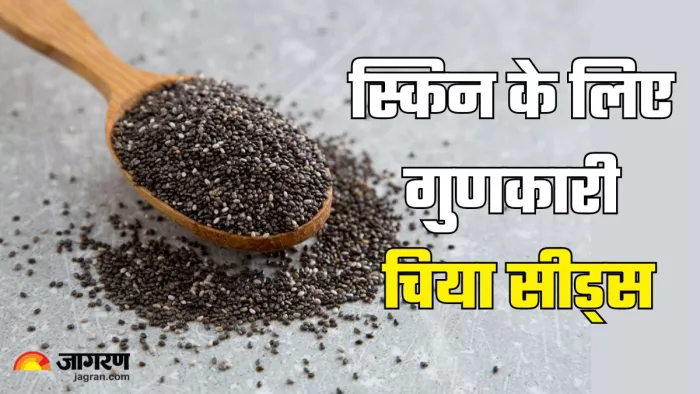 स्किन के लिए चिया सीड्स के फायदे (Picture Credit- Freepik)