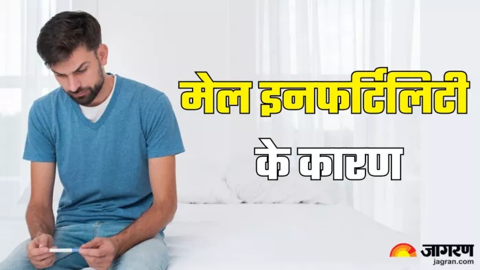 इन वजहों से बढ़ती है मेल इनफर्टिलिटी (Picture Credit- Freepik)