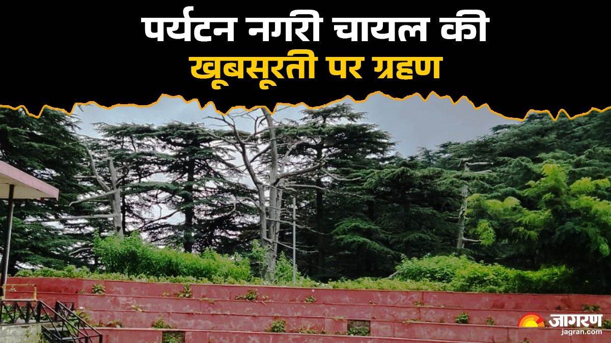 https://www.jagranimages.com/images/newimg/10082025/10_08_2025-chail_tourist_place_24008903.jpg
