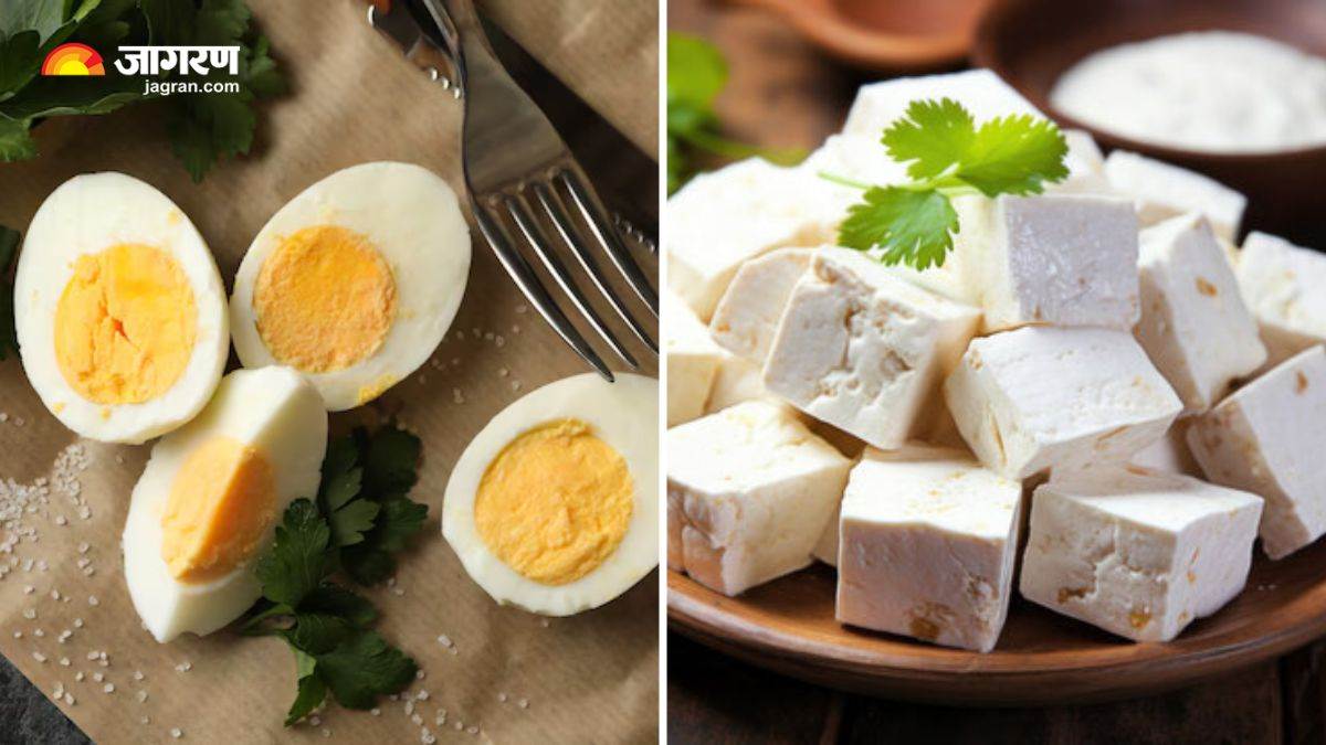 https://www.jagranimages.com/images/newimg/10082025/10_08_2025-eggs_vs_paneer_for_protein_24008360.jpg