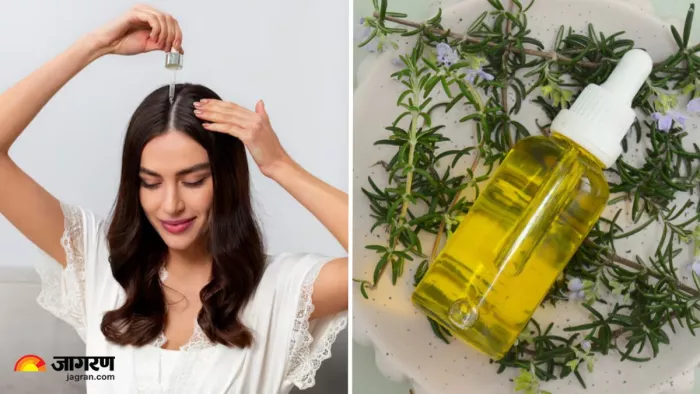 Rosemary Water vs Rosemary Oil: किसके इस्तेमाल से बढ़ेगी बालों की ग्रोथ? (Image Source: Freepik)