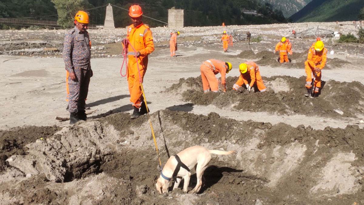 https://www.jagranimages.com/images/newimg/10082025/10_08_2025-uttarkashi_24009040.jpg