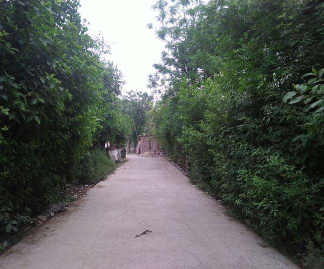 News Article Hero Image