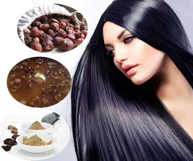 Reetha Benefits For Hair: आप भी काले घने और मजबूत बाल चाहते हैं तो बालों के  लिए रीठा इस्तेमाल करें - If you also want dark thick and strong hair then  use