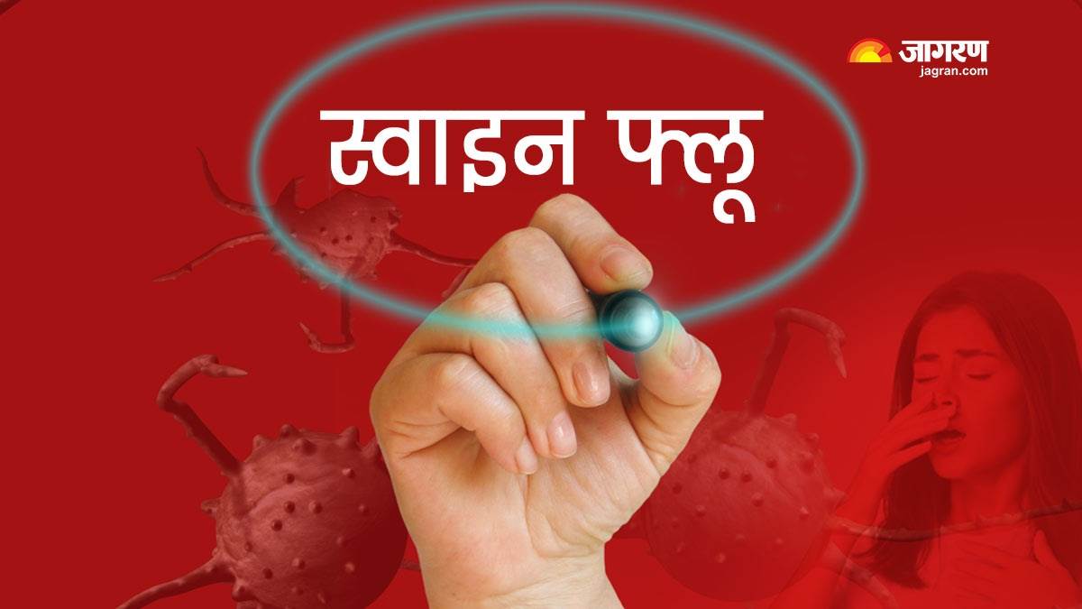 naidunia_image
