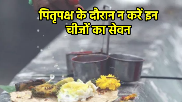 Pitru Paksha 2022: पितृपक्ष के दौरान इन चीजों का सेवन न करें