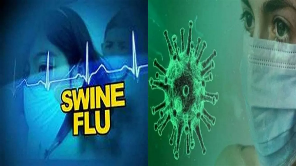 Swine Flu In Ludhiana: स्वाइन फ्लू से 51 वर्षीय व्यक्ति की मौत, कोरोना के आठ नए मरीज मिले