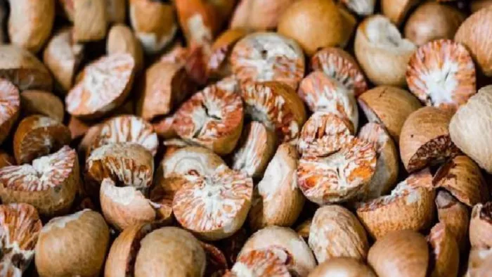 जवाहरलाल नेहरू बंदरगाह से 371 मीट्रिक टन सुपारी जब्त (फाइल फोटो)