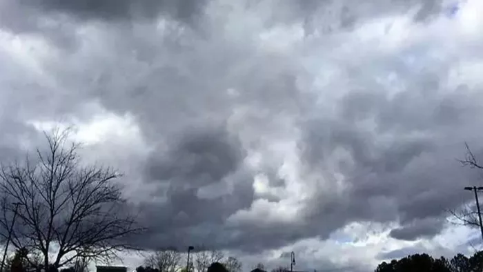 Bihar Weather Update: दिनभर रिमझिम बारिश से लुढ़का तापमान, यह है अपडेट