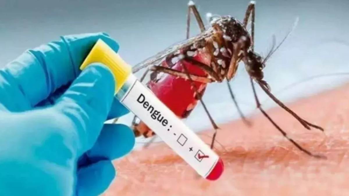 ncr dengue in gurugram larvae found at more than 10 thousand places in gurugram so far notice to more than nine thousand houses