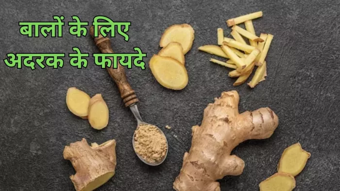 Ginger For Hair: अदरक के इस्तेमाल से बालों से जुड़ी समस्या को कर सकते हैं कम