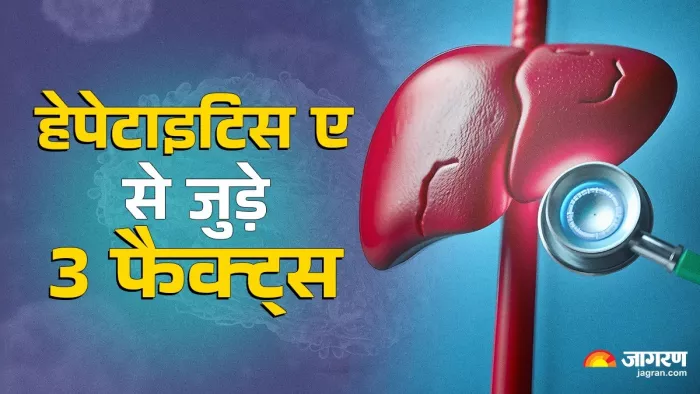 Liver Disease: बरसात के मौसम में बढ़ जाता है Hepatitis A का खतरा, डॉक्टर ने बताई 3 जरूरी बातें