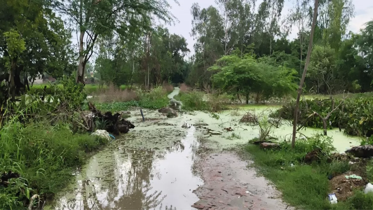 UP Flood: यूपी के इस जिले में गांव की ओर बढ़ रहा गंगा का पानी, ग्रामीणों की उड़ी नींद