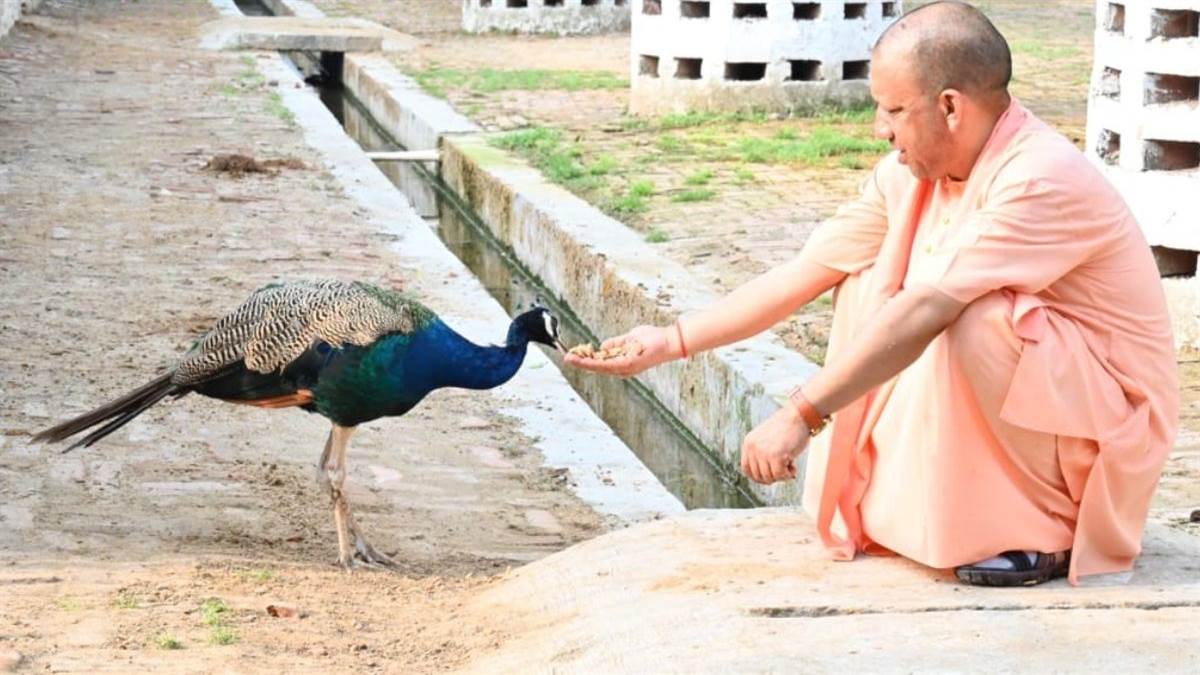 https://www.jagranimages.com/images/newimg/10092025/10_09_2025-cmyogimore_24041815.jpg