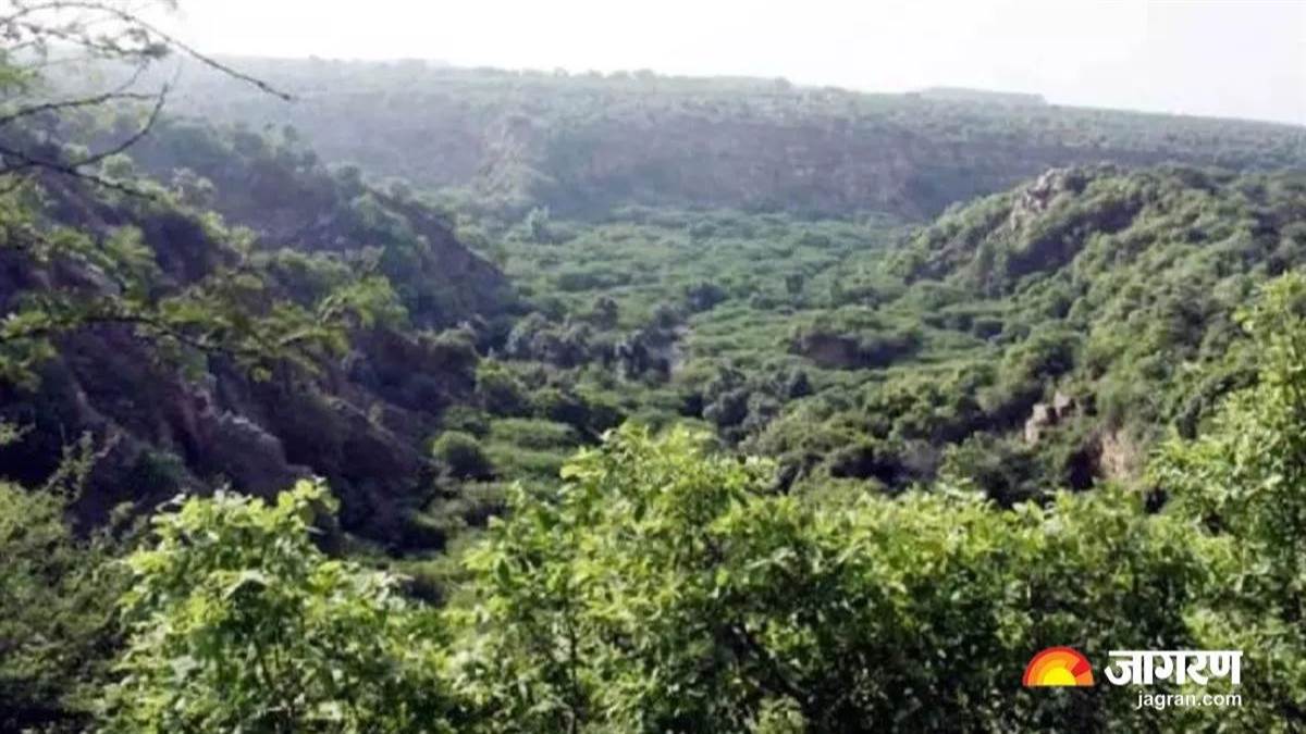 https://www.jagranimages.com/images/newimg/10092025/10_09_2025-deharadun_forest_24041821.jpg