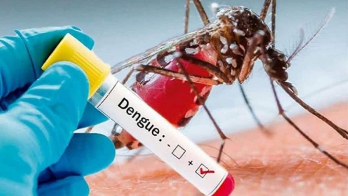 https://www.jagranimages.com/images/newimg/10092025/10_09_2025-dengue_24042264.jpg