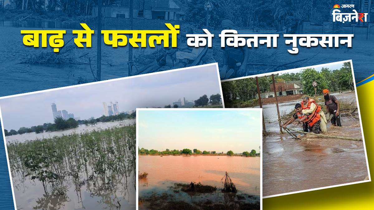 https://www.jagranimages.com/images/newimg/10092025/10_09_2025-flood_crop_loss_24042185.jpg