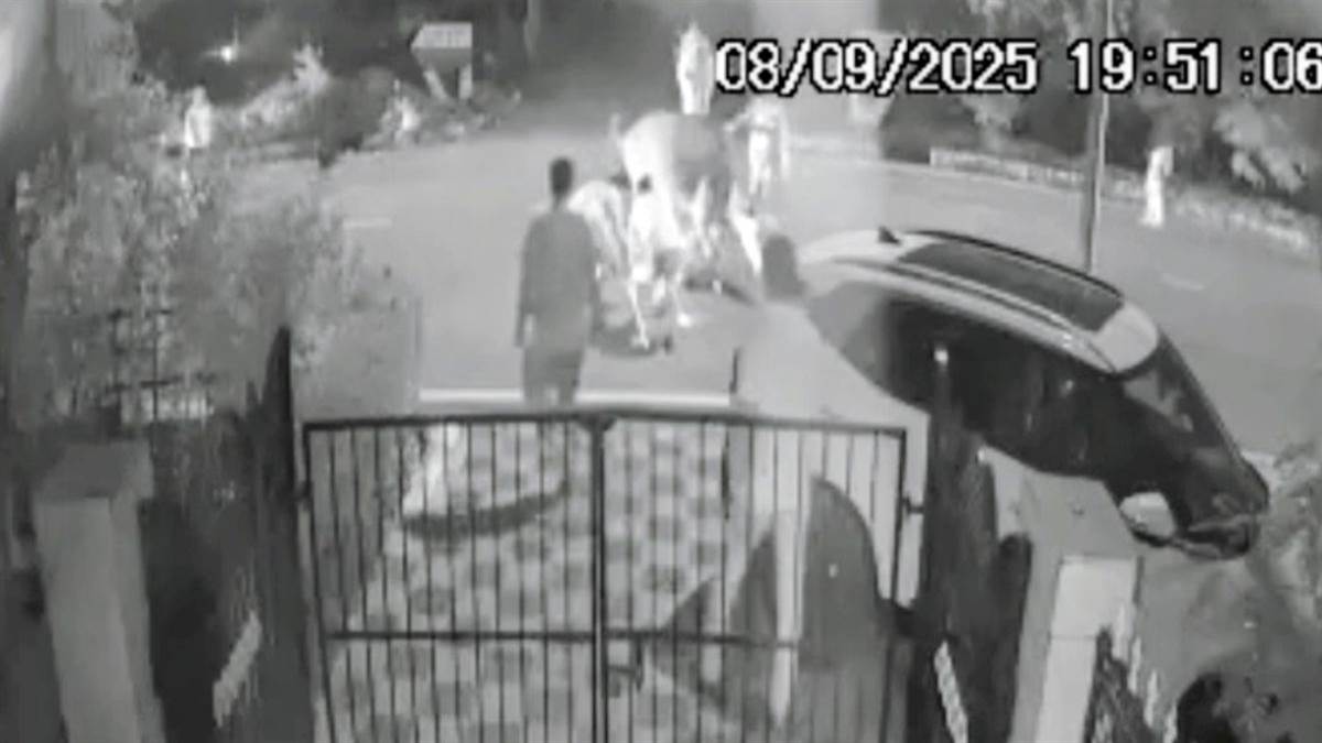 https://www.jagranimages.com/images/newimg/10092025/10_09_2025-noida_news_update_86_24041796.jpg