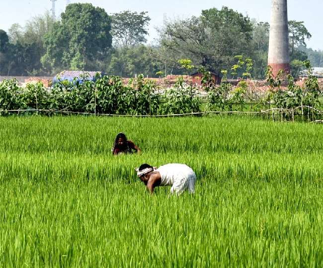 हरियाणा में हिसार के ग्रामीण अंचल की आठ कृषि सखियां