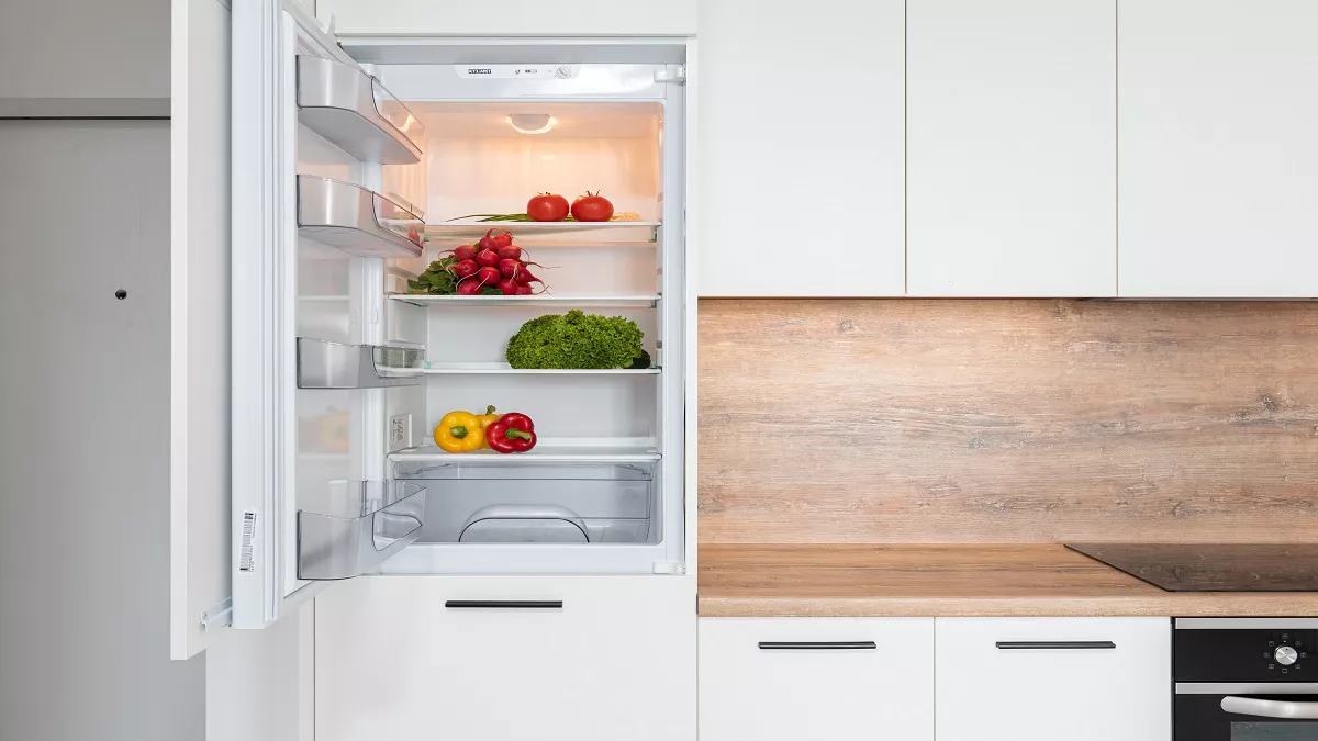 11 Best Double Door Refrigerators: फ्रूट्स और सब्जियों को रखना है फ्रेश तो ये हैं बढ़िया डबल डोर फ्रिज