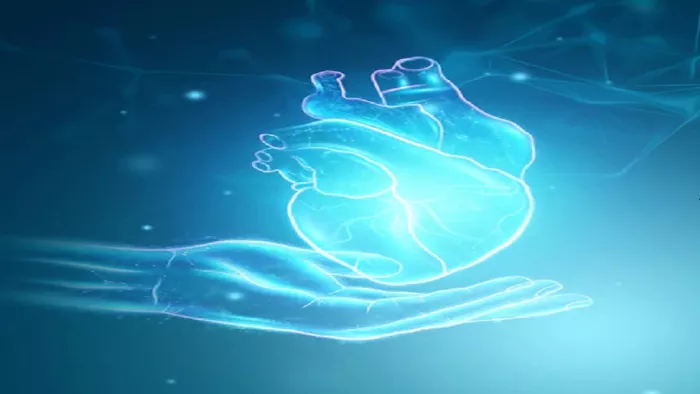 Healthy Heart Tips: ब्लड सर्कुलेशन बढ़ाने और हृदय को स्वस्थ रखने के लिए फॉलो करें ये आसान टिप्स