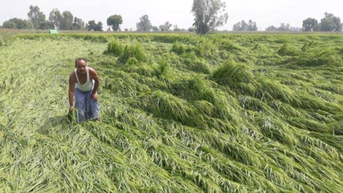 https://www.jagranimages.com/images/newimg/10102022/10_10_2022-rain_in_moradabad_23130925.jpg