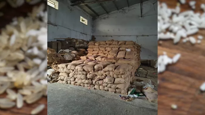 एफसीआई (FCI) के गोदाम में रखे अनाज की बोरियो की तस्वीर।