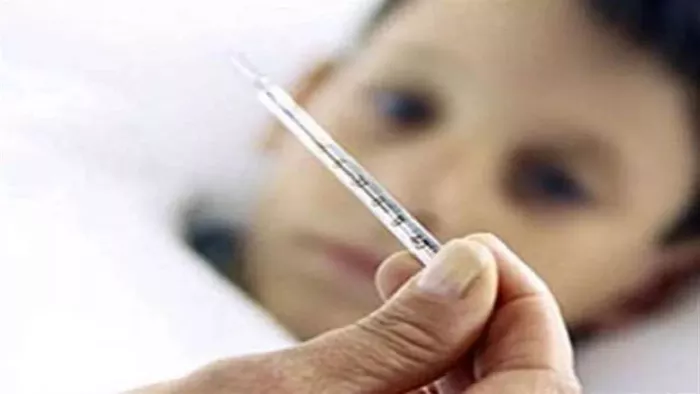 Health Tips: बदले मौसम में खानपान का दें विशेष ध्यान