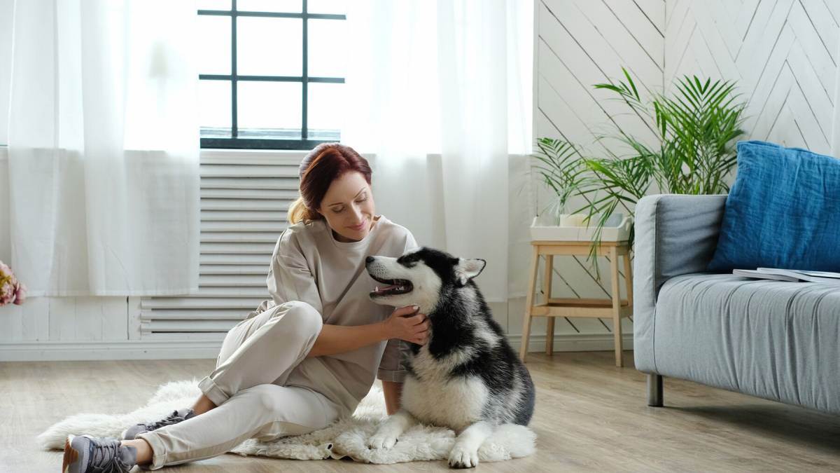 https://www.jagranimages.com/images/newimg/10102023/10_10_2023-pets_good_for_mental_health_23552563.jpg
