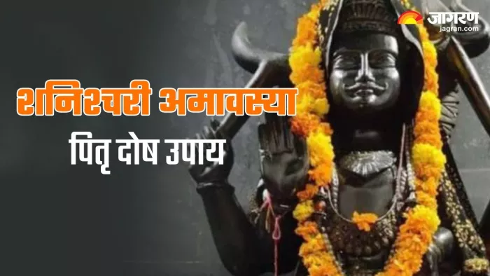 Shanichari Amavasya 2023: शनिश्चरी अमावस्या तिथि पर करें ये खास उपाय, पितृ दोष से मिलेगी निजात
