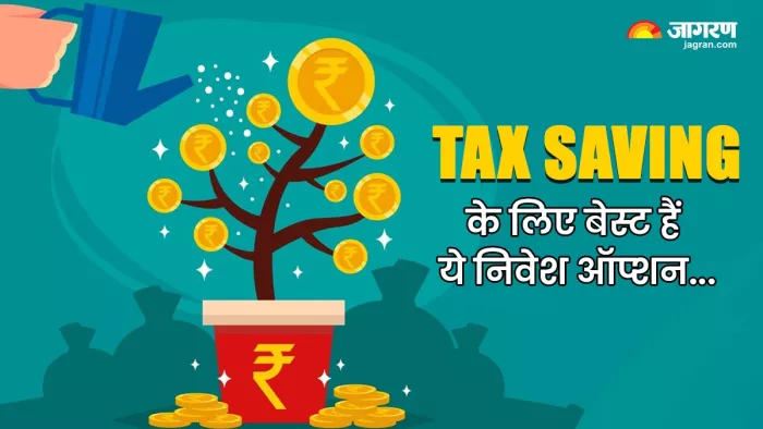 इन निवेश ऑप्शन में निवेश कर आप धारा 80C के तहत अपने टैक्स को बचा सकते हैं।