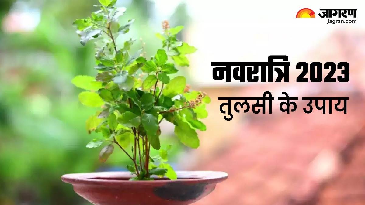 https://www.jagranimages.com/images/newimg/10102023/10_10_2023-tulsi-pooja_23552513_163056689.jpg