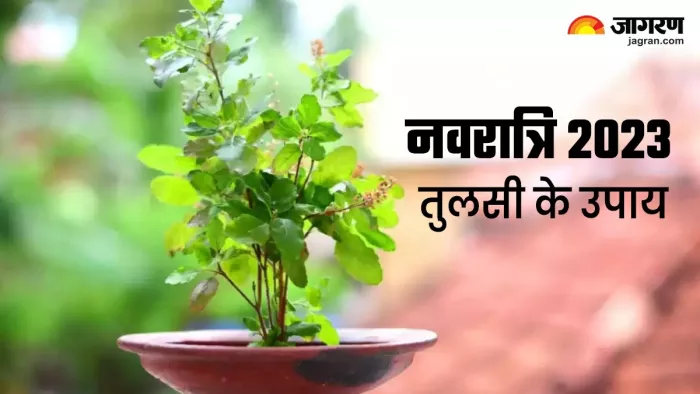 मां तुलसी के सामने जलाएं ये खास दीया