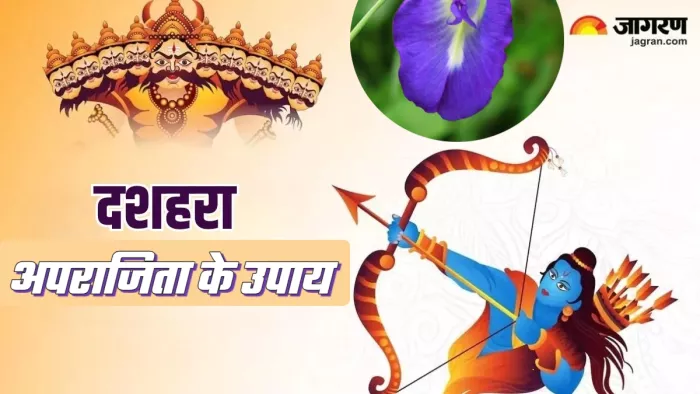 Dussehra 2024 Date: दशहरा पर करें अपराजिता फूल से ये उपाय।