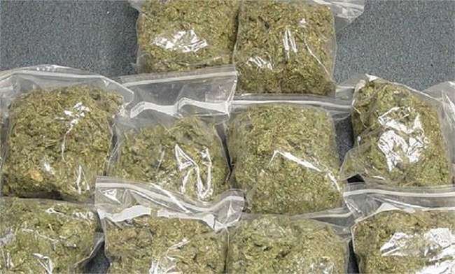 LLB student is the kingpin of Ganja gang smuggling smacks in the name of  job - गांजा गिरोह का सरगना है एलएलबी छात्र, नौकरी के नाम पर स्मैक की कराता  है तस्करी